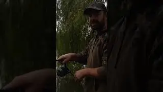 "Trust in the process" 🤩🎣