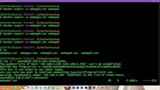 Docker Backup  export and Import