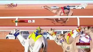 ش11 سباق اللقايا لأبناء القبائل- مهرجان جائزة الملك عبدالعزيز- صباح 7-1-2022