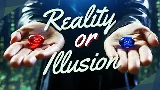 Reality or Illusion: How Does Your Brain Know? #brain #mind #science #matrix #psychology