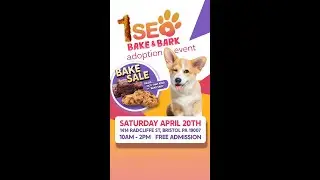Bake & Bark Event at 1SEO Digital Agency! 🐾🎉
