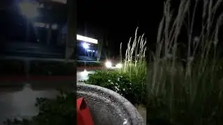 Public freak out