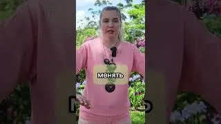 Как изменить свою жизнь #расстановки #магическиерасстановки #родовыерасстановки #тонкиймир #магия￼