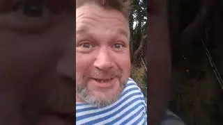 медведи окружают