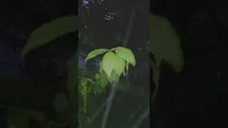 Ёмгирни⛈️ хам соґинипмиз