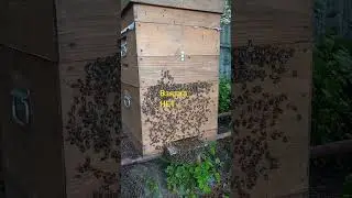 Взятка НЕТ!!!