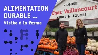 Alimentation durable... visite à la ferme!