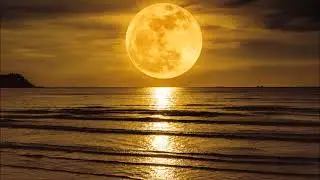Cypress - Dream Time (Yellow Time)