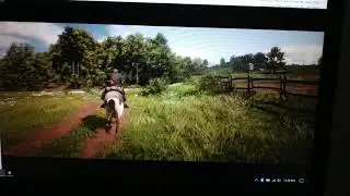Red Dead Redemption 2 on Geforce MX150