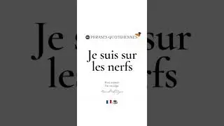 🇫🇷Французские фразы на каждый день 
