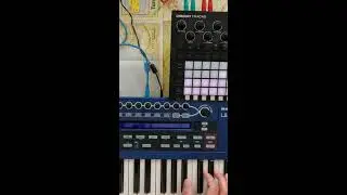 Blossom Bisquits Non stop  Jam Compilation vol.21