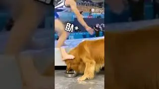 Ржачь)