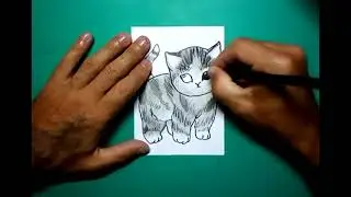 How to draw a kitten using black marker and pencil, and just a little bit of pink