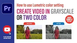 Premier Pro | Lumetric Color | How to change video color | #viralvideo