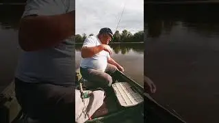 Лещ на Каме