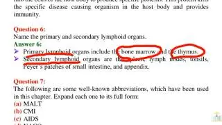 Name the primary and secondary lymphoid organs.