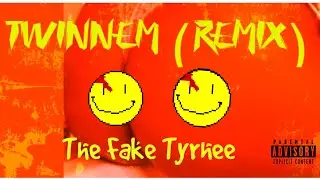 TWINNEM (REMIX) -
