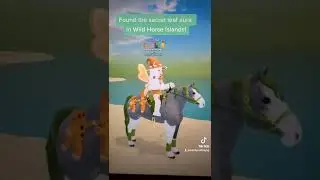 Wild Horse Islands secret item leaf aura! Found on Forest Islands! 