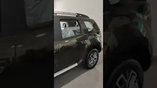 Duster  Renault Olive Green (Outback Bronze)