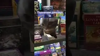 Таромания это важная часть моей жизни 😄 #магия #эзотерика #гадание #жиза #таро #колодытаро