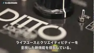 Ditto X2 Looper - イントロダクション