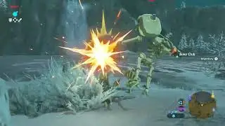 Staying Warm At The Great Plateau - Breath of the Wild [4]