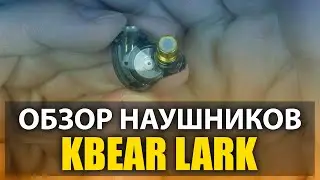 РАЗОБЛАЧЕНИЕ НАУШНИКОВ KBEAR LARK