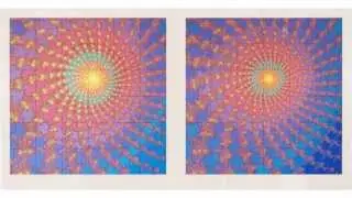 Video#1-The Feedback Fractal Project