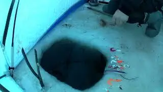 рыбалка на амуре 8.12.23