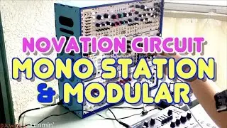 Novation Circuit Mono Station & Modular