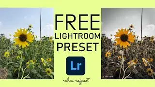 LIGHTROOM Mobile FREE Presets DNG  | NO PASSWORD | LIGHTOOM PRESET Mobile Tutorial