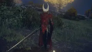 Hornet vs Black Knife Assassin | Elden ring mod