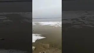 1 мая 2024 г.