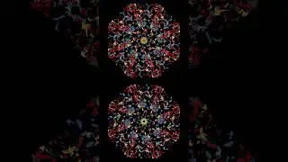 Experiments - Lepidoptera - Comparison  #p5js #generativedesign #generative #creativecoding  #art