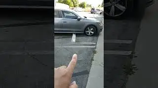 stupid people cannot park no matter what 