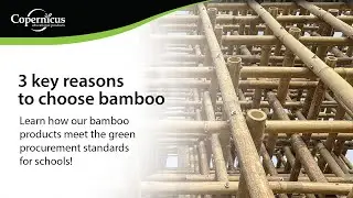 3 Key Reasons for Choosing Bamboo Classroom Furniture