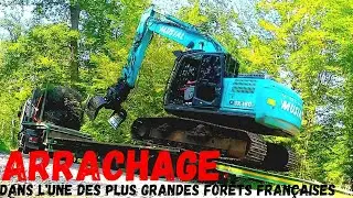 chantier D'arrachage de clôture en forêt de Compiègne. kobelco sk 180 lc 11