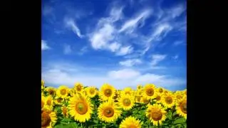 Morning Meditation - Affirmations to Help You Start Your Day