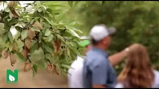 Nutrient Technologies Promise