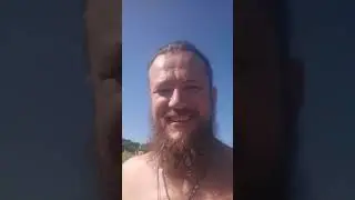 прогулки с коровами к месту дойки)