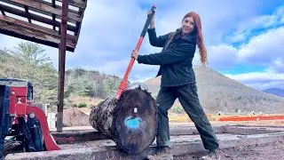 Rescuing a Neglected Walnut Log for Bookshelf Beauty! Watch it be milled in real-time!