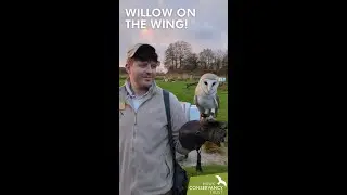 Willow on the wing!