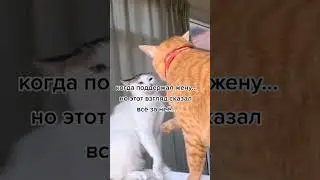 9 мая 2023 г.