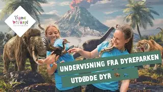 Undervisning fra Dyreparken: Dinosaurer og utdødde dyr  🦕🦖🦣