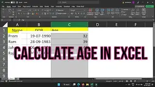How to Calculate age in Excel 