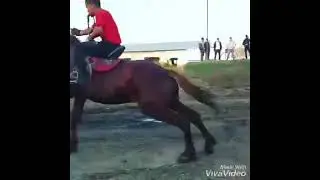янги ноокат от сотилат