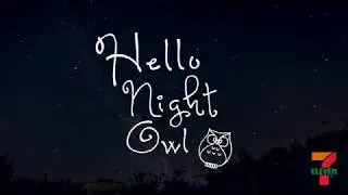 Hello Night Owl