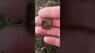 Старинная пряжка.