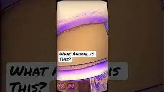 What Animal is in the House in this Glitched Clip? Almost invisible. 🫣😎
