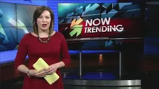 Now Trending: April 7